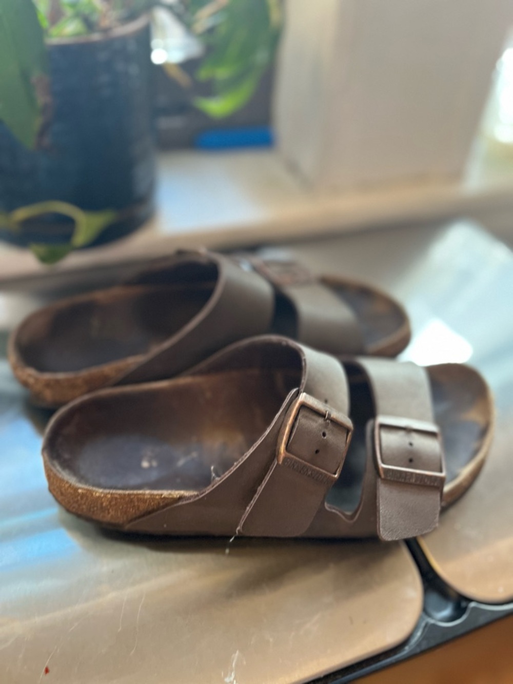 Birkenstocks